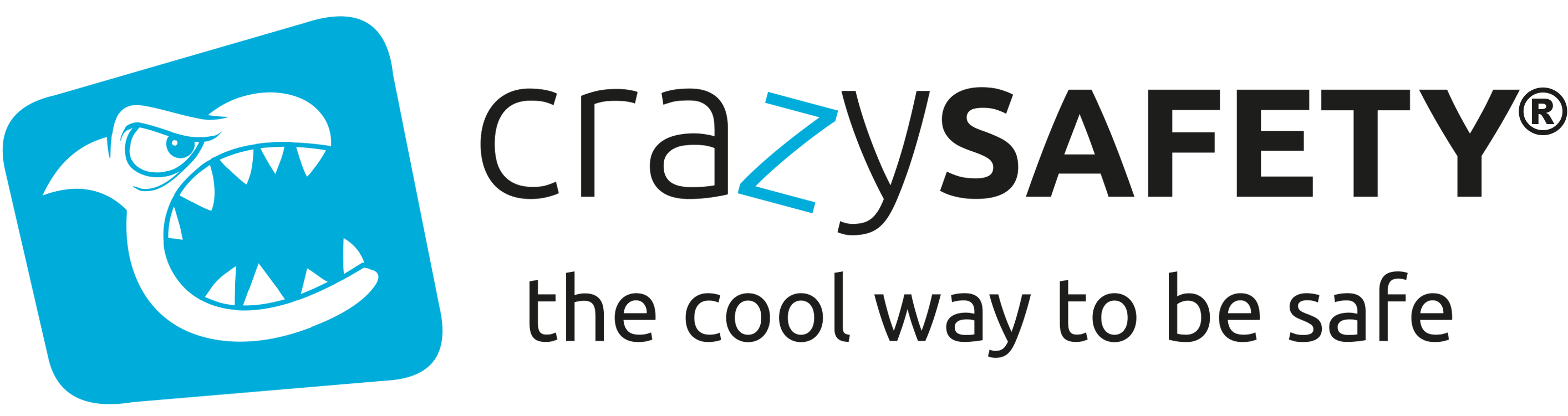 Crazy Safety Help Center logo