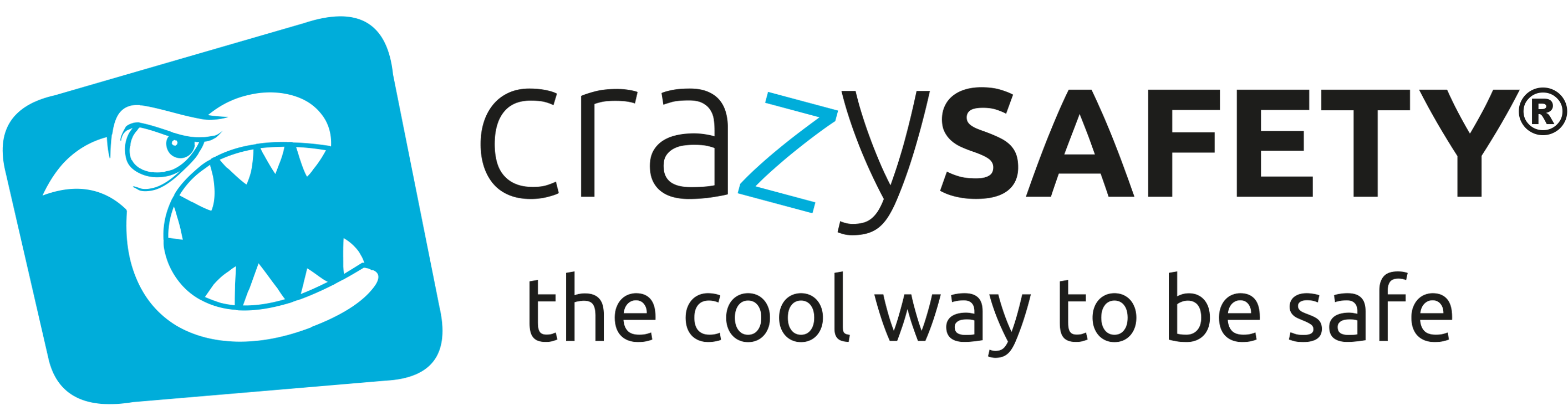 Crazy Safety Help Center logo